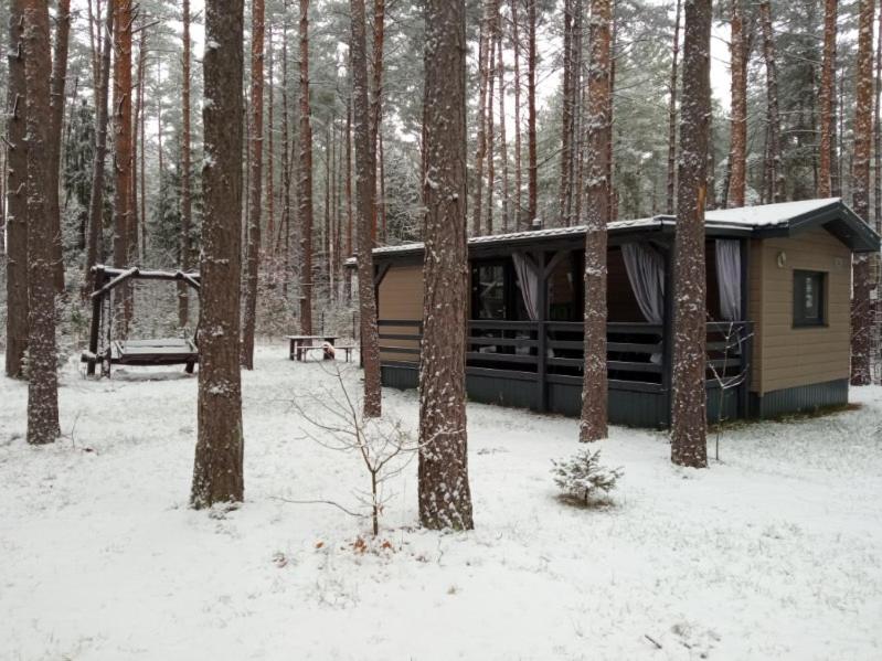domki przy lipowej 14 - Housity