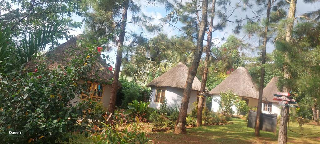 Zahrada ubytování BN Private Beach & Resort - Jinja