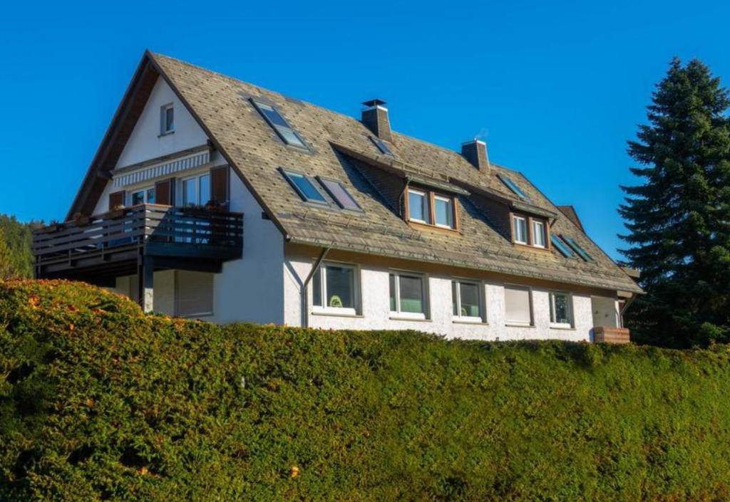 a large house on top of a hedge at Ferienwohnung Holzer am Titisee in Titisee-Neustadt