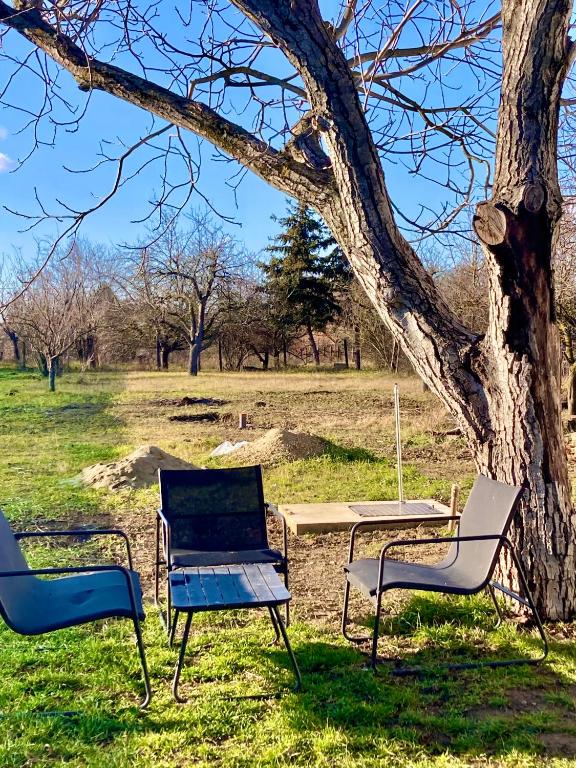 Κήπος έξω από το Hacienda Picobello
