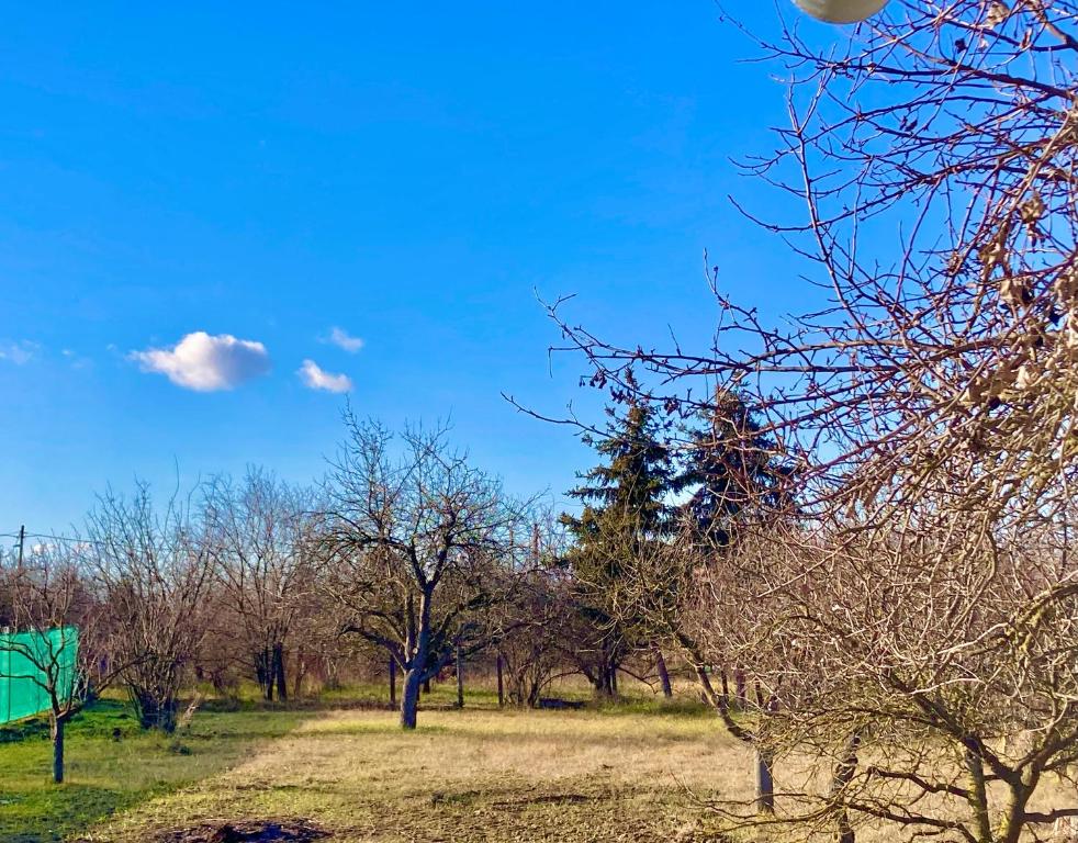 Φωτογραφία από το άλμπουμ του Hacienda Picobello σε Szentes