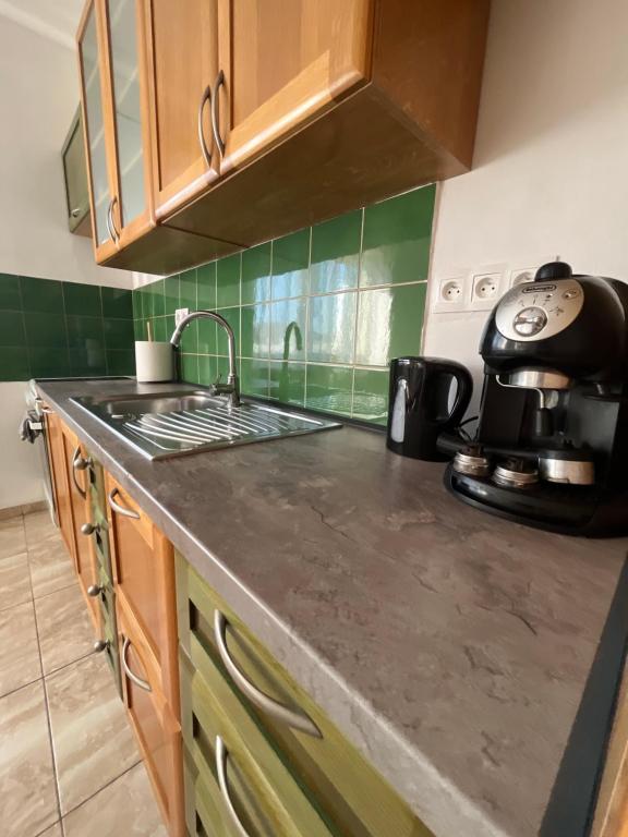 Kuchyň nebo kuchyňský kout v ubytování BALU CITY APARTMeNT