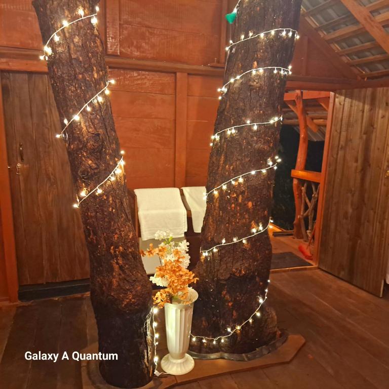 Fotografie z fotogalerie ubytování Green leaf Tree house v Dambulle