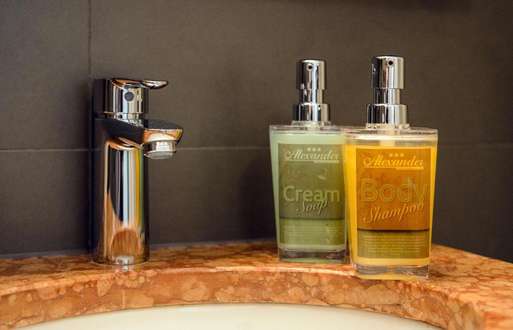 Alexander Guesthouse Zurich Old Town - Resim 35