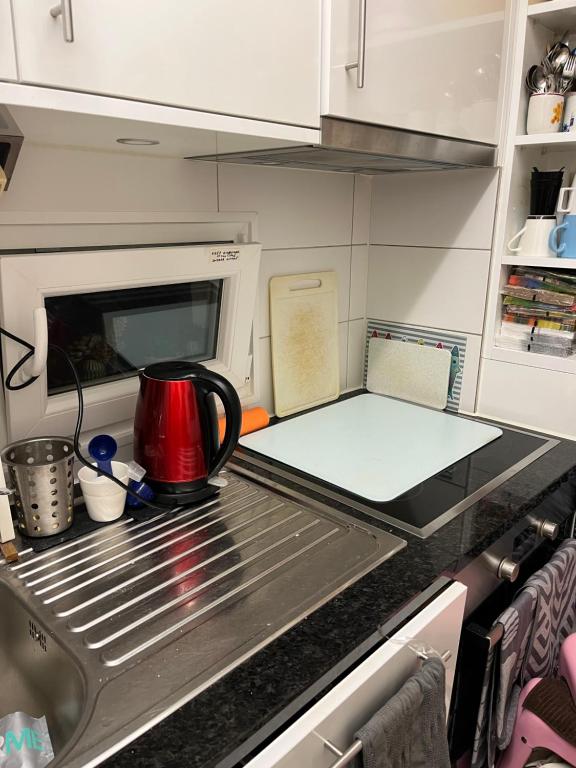 Kuchyň nebo kuchyňský kout v ubytování Felix's room