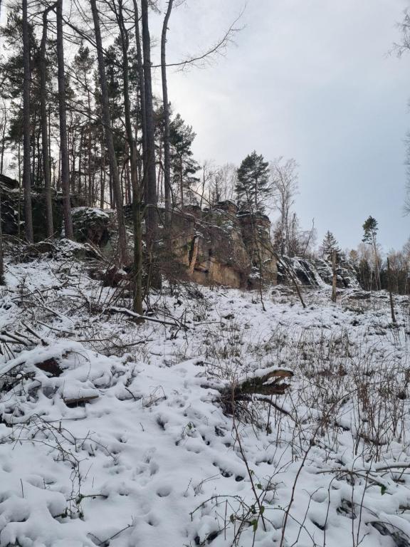 Alte Schäferei Bad Gottleuba v zimě