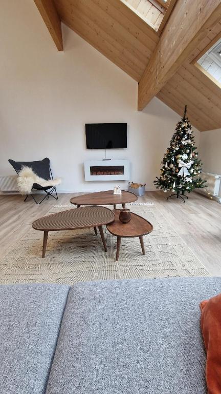 TV a/nebo společenská místnost v ubytování Duplex type chalet dans le Jura