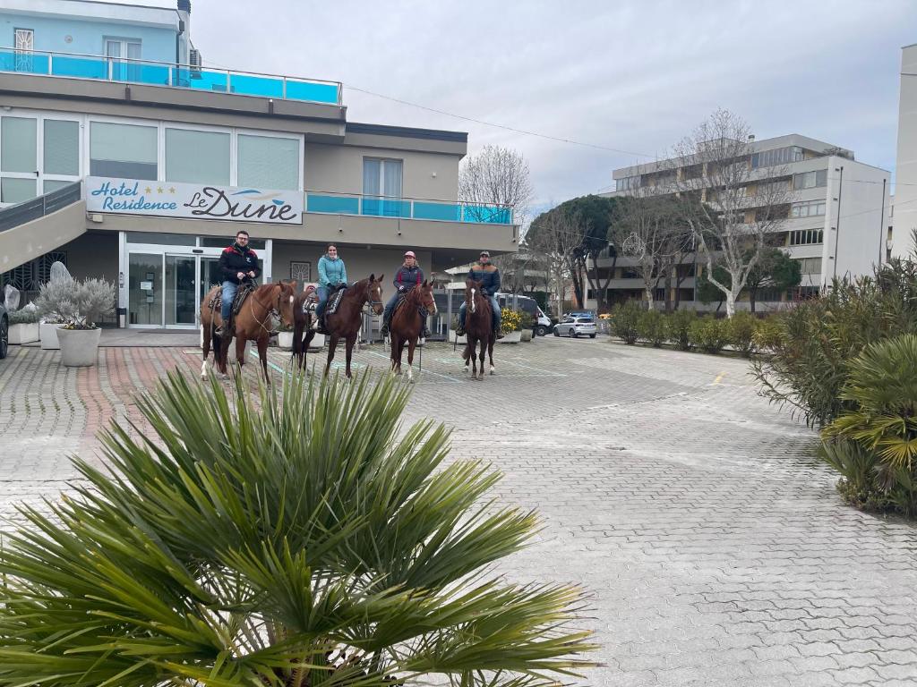 Zvířata v hotelu nebo okolí