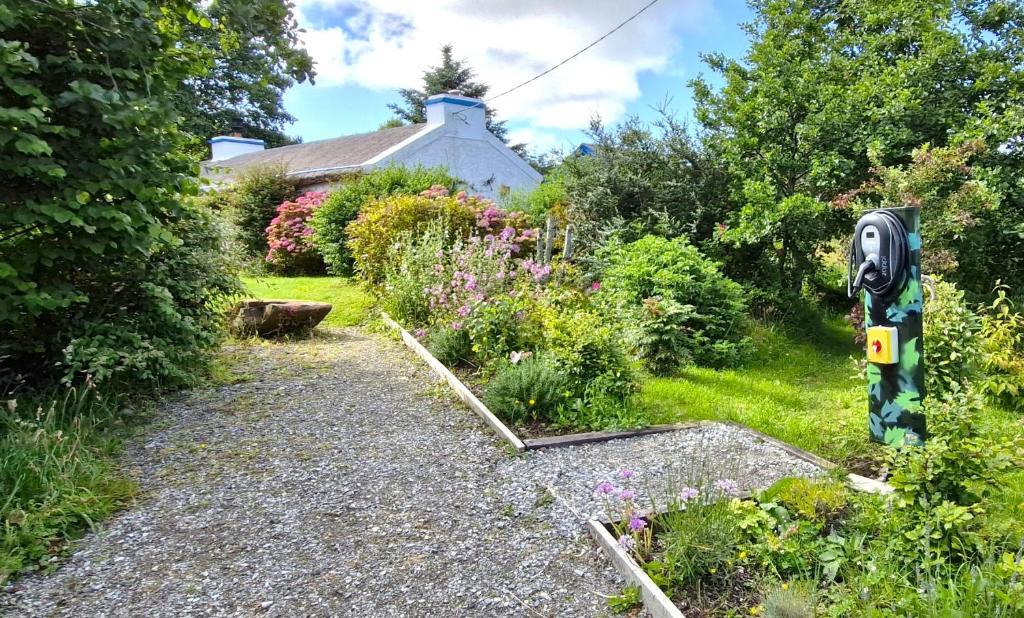 A garden outside The Rockhouse - Cosy stone built Thatch Cottage