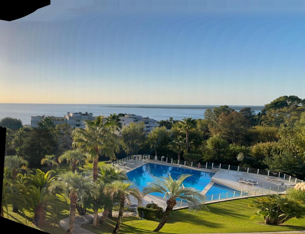 une vue sur une piscine avec des palmiers et l'océan dans l'établissement Studio Design mer, à Vallauris