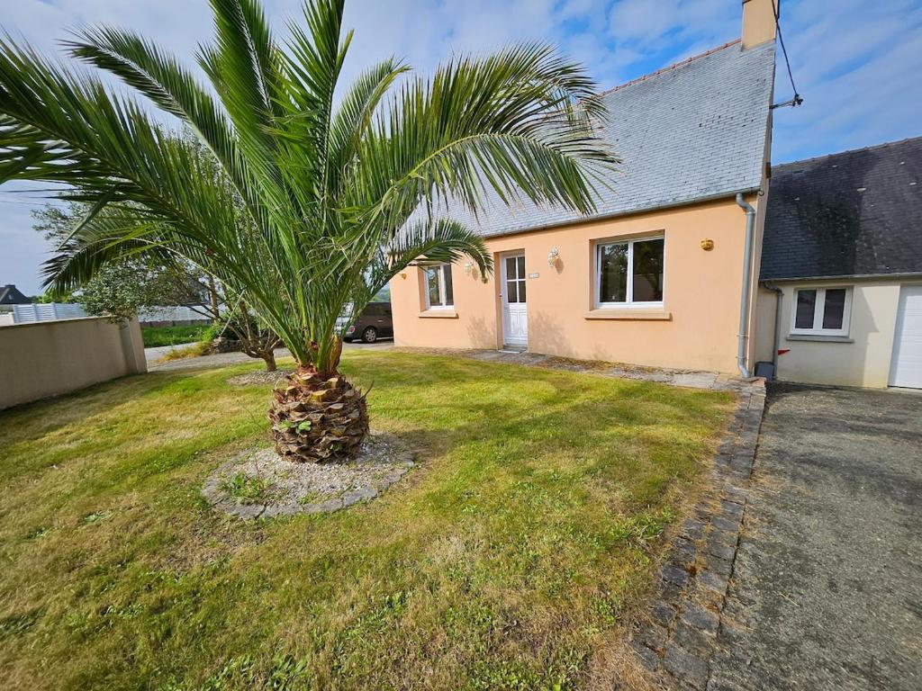 un palmier devant une maison dans l'établissement Villa des Oiseaux Lanvéoc Presqu'île de Crozon, à Lanvéoc
