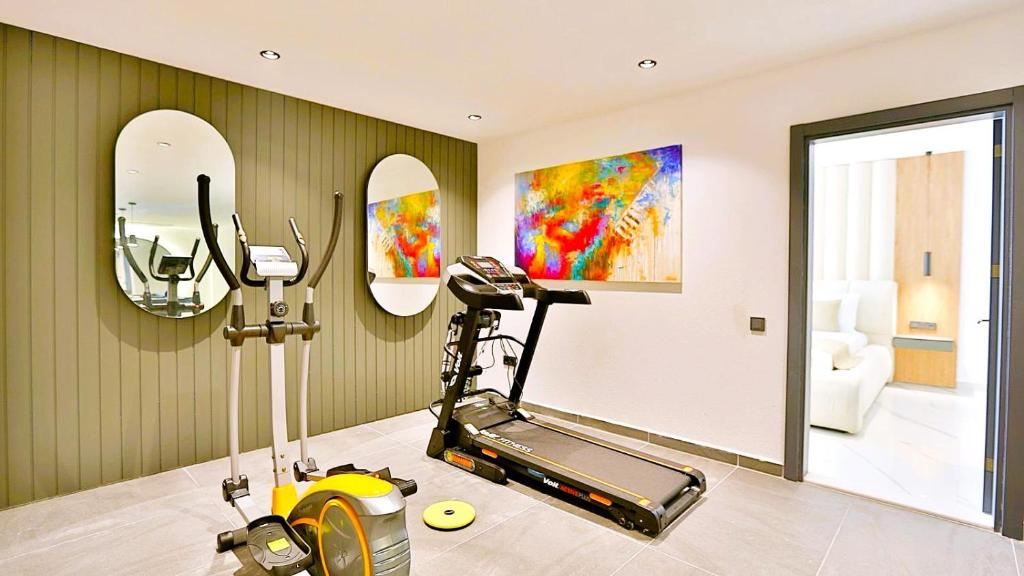 Fitness centrum a/nebo fitness zařízení v ubytování Villa Icon