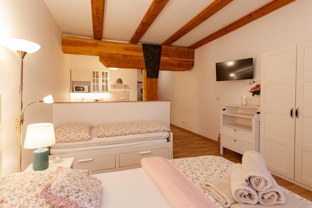 TV a/nebo společenská místnost v ubytování Resort Mlýn Karolínka