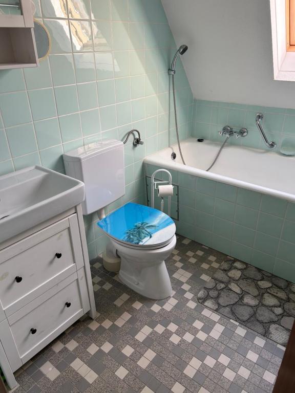 a bathroom with a toilet and a sink and a tub at Jacky Apartment in Schonwald im Schwarzwald
