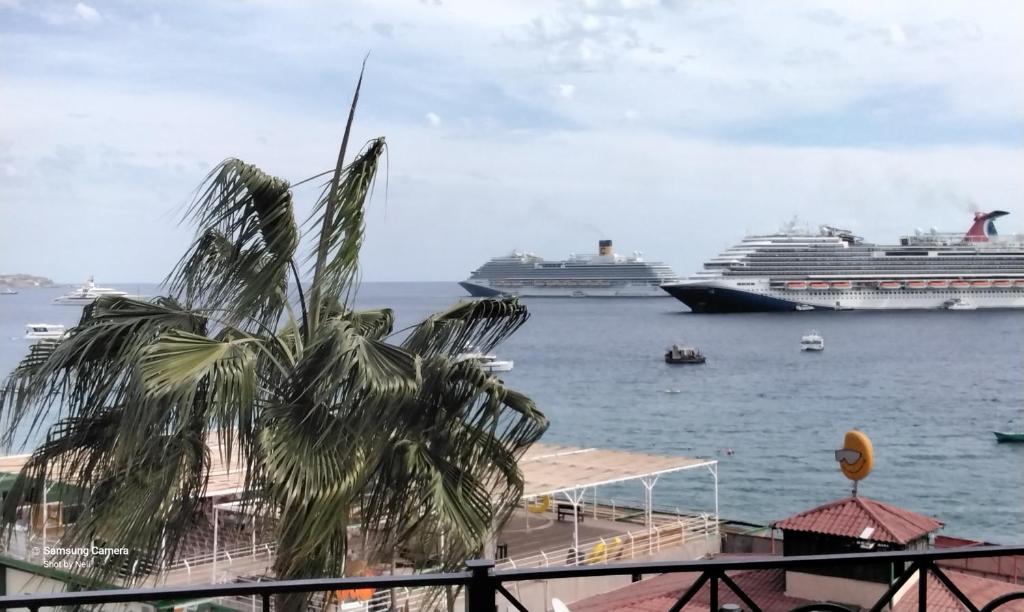 卡波圣卢卡斯Medano Beach suites的两艘棕榈树在水中的游轮
