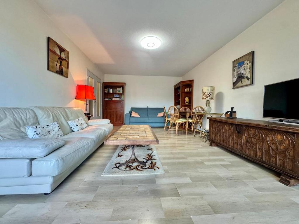un salon avec un canapé et une télévision dans l'établissement Le Lys - Apt 4 Prs - clim - piscine - parking, à Antibes