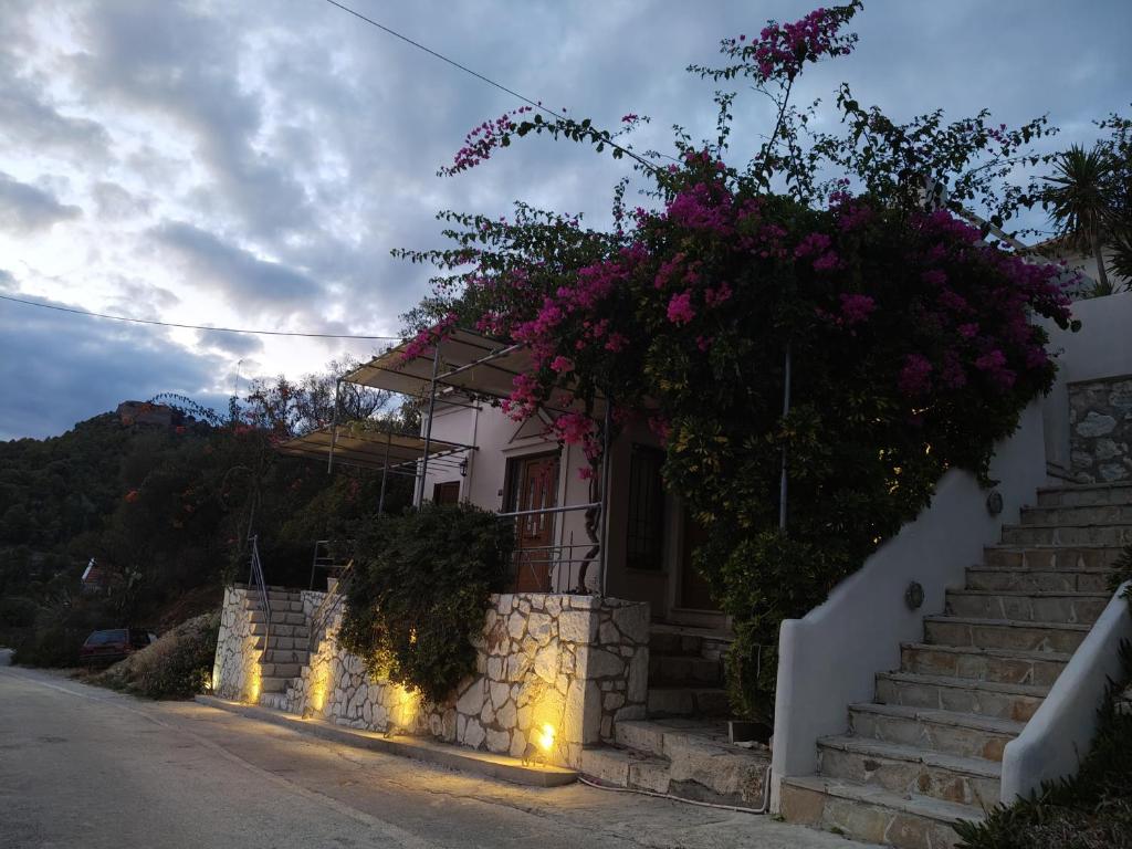 Zahrada ubytování Caldera Apartments Assos