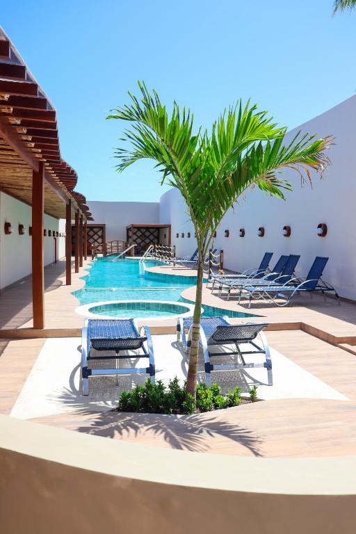 a palm tree next to a pool with chairs at Pousada Barra De Maragogi in Maragogi