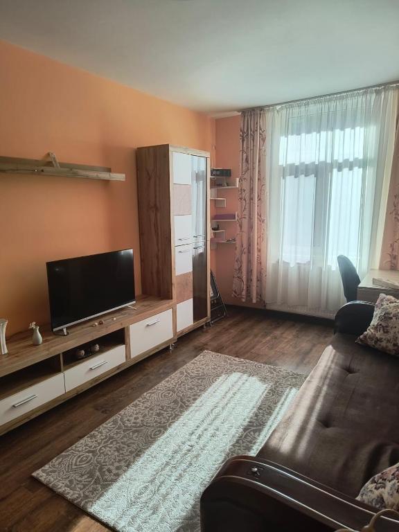 a living room with a couch and a flat screen tv at Apartament Gabriela in Vulcan