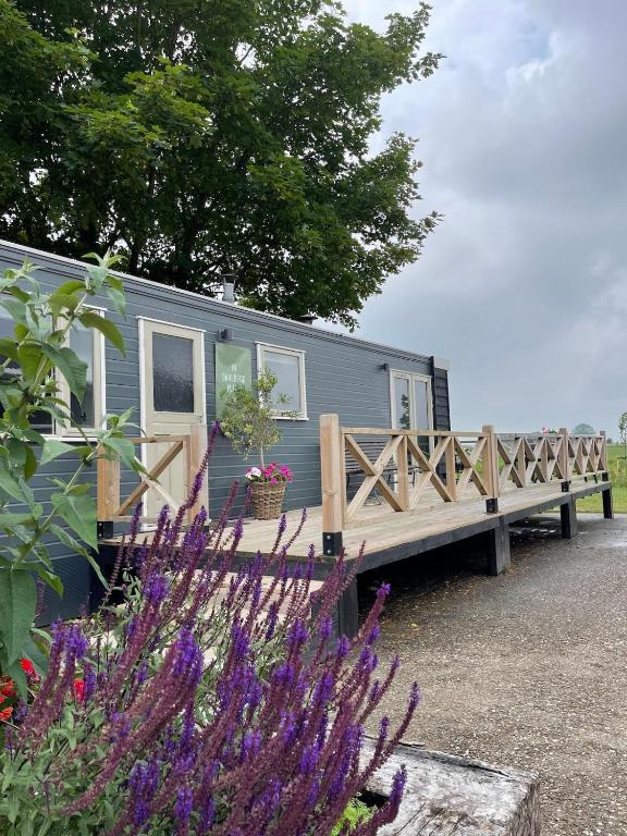 a blue caravan with a wooden deck and flowers at In Daaldersk Plakje in Deinum