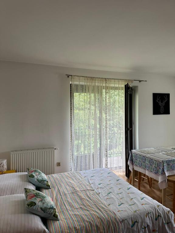 Czarna Jagoda - Family Studio