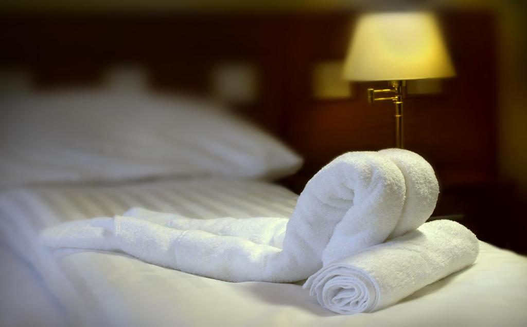 Postel nebo postele na pokoji v ubytování Hotel Pod Zeleným Dubem