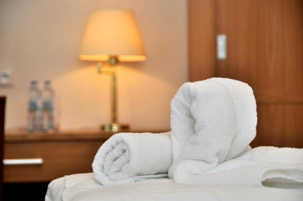 Postel nebo postele na pokoji v ubytování Hotel Pod Zeleným Dubem