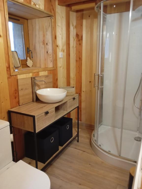 une salle de bain avec un lavabo et une douche dans l'établissement Le poulailler, à Plancher-Bas