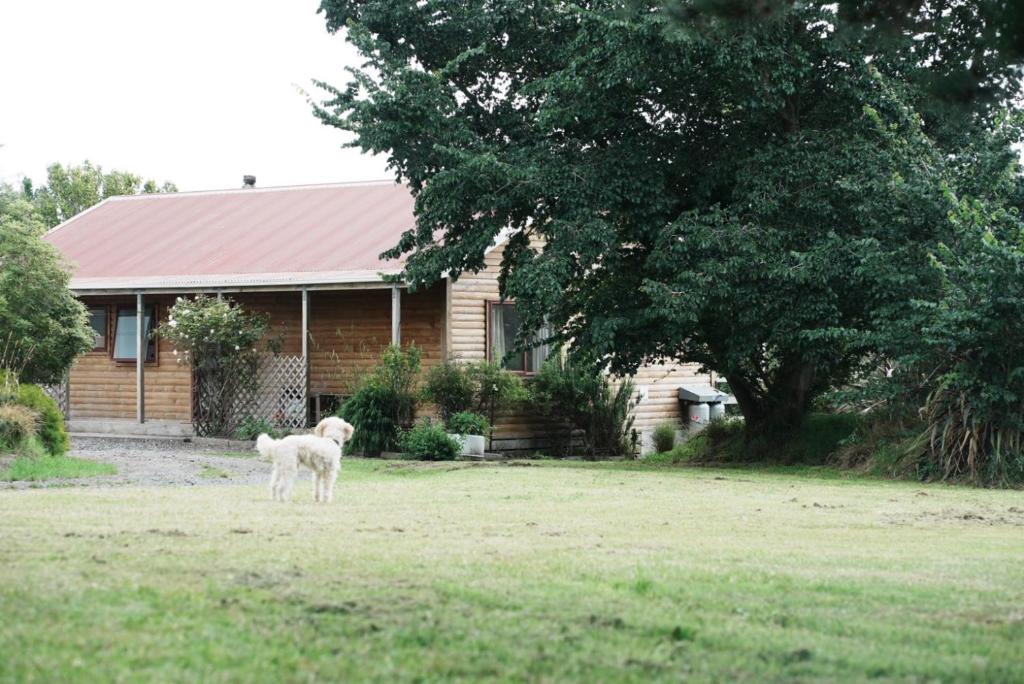 A cabin with a big view, comfort and tranquility, close to vines - Resim 25