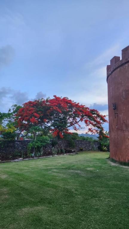 Un jardín fuera de El Castillo