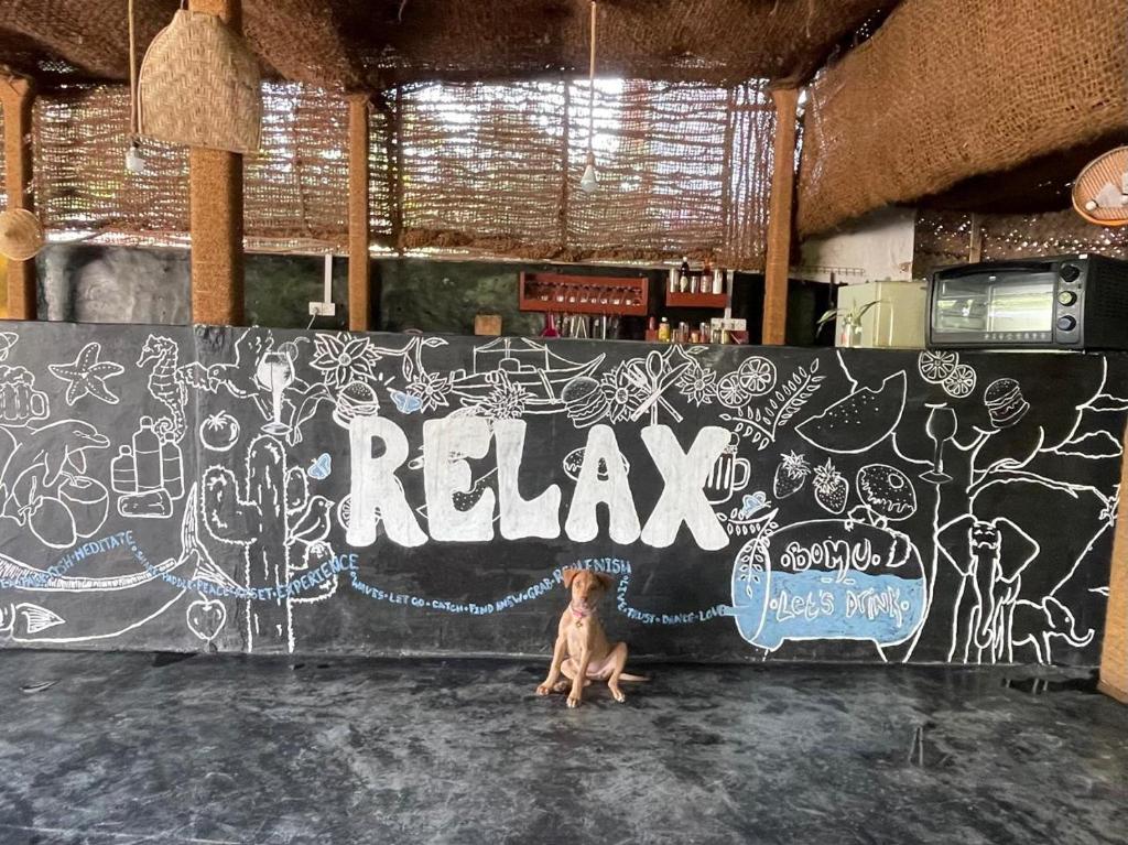 Fotografie z fotogalerie ubytování Hidden Relax v destinaci Weligama
