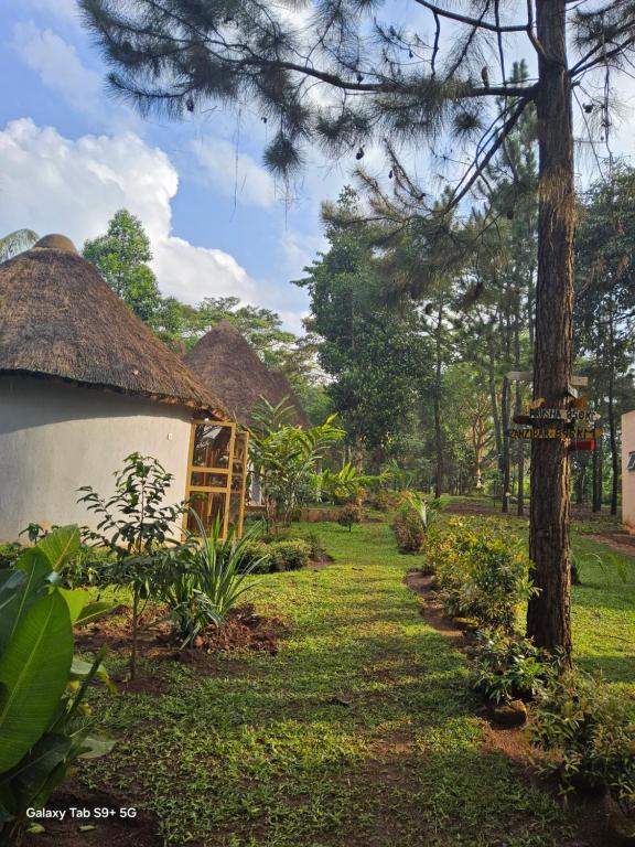 Zahrada ubytování BN Private Beach & Resort - Jinja