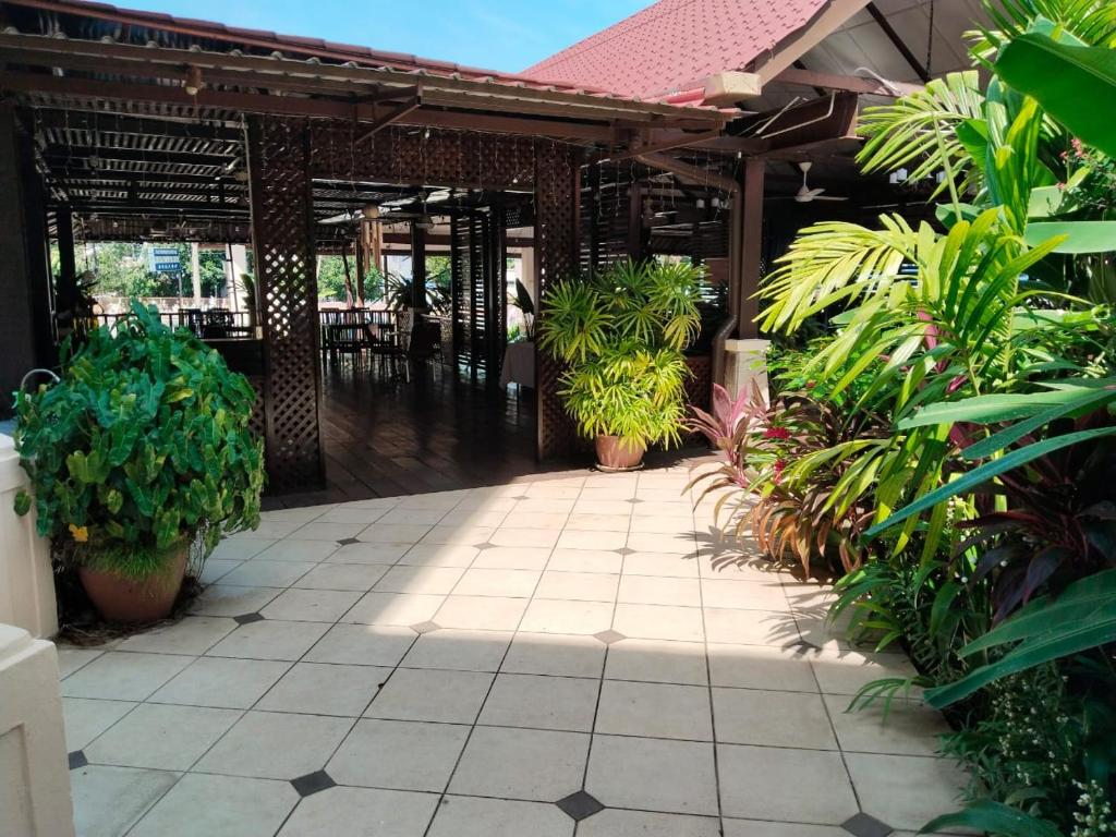 Zahrada ubytování D'Feringghi Hotel