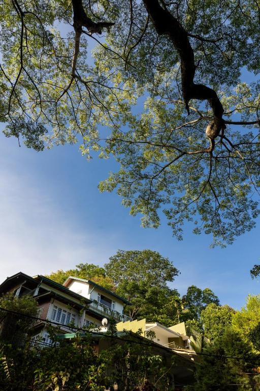 Fotografie z fotogalerie ubytování Greenwood Edge Kandy v destinaci Kandy