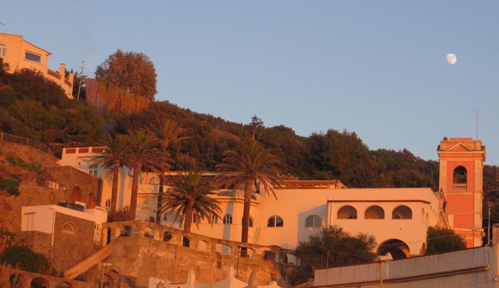 a building on the side of a hill with palm trees at Eremo di Montevergine Ischia Apartments in Ischia