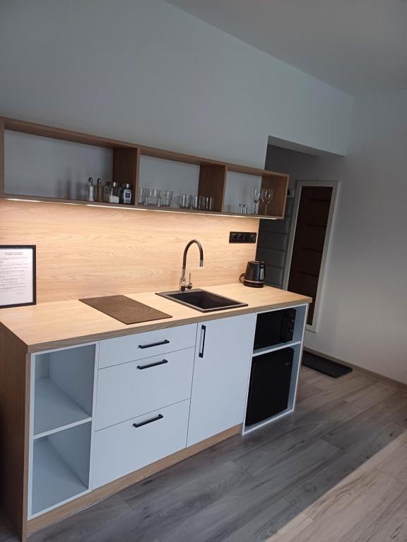 Kuchyň nebo kuchyňský kout v ubytování Śpij w Kudowie Apartament i pokoje gościnne