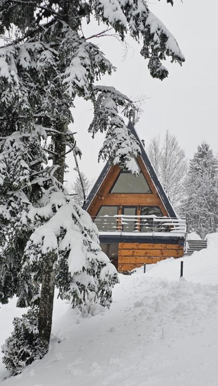 eine Hütte im Schnee mit einem Baum in der Unterkunft Gorska bajka - Tisa, planinska kuća za odmor i wellness in Stara Sušica