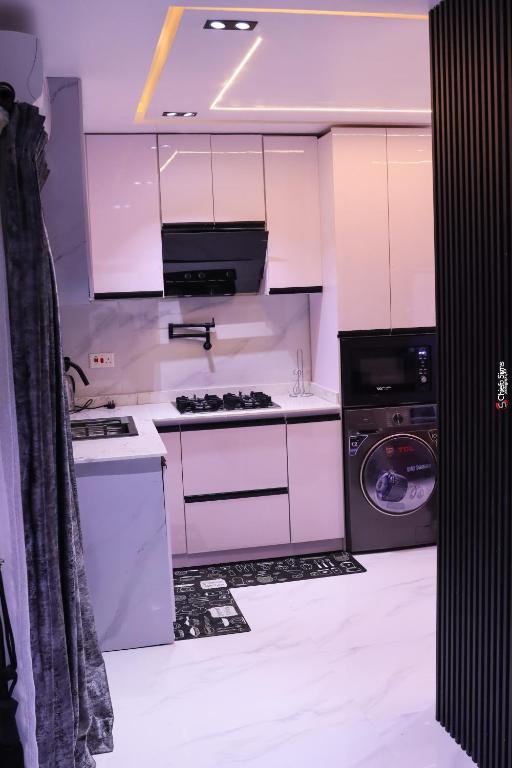 Kuchyň nebo kuchyňský kout v ubytování Meenah luxury homes