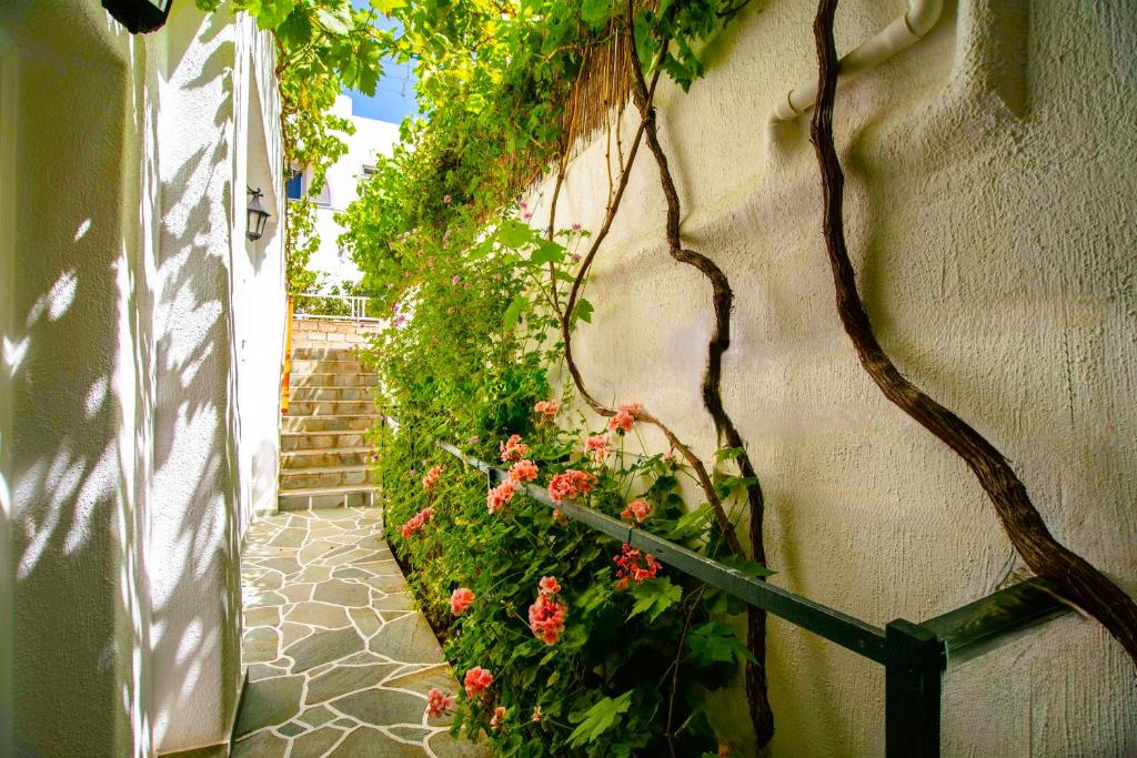 Kontaratos Studios & Apartments - 9