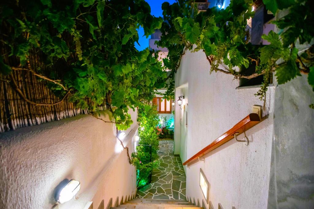 Kontaratos Studios & Apartments - 15