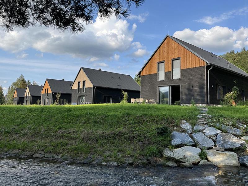 a group of houses on a field next to a river at Wellness Chalupy LETOKRUHY in Jeseník