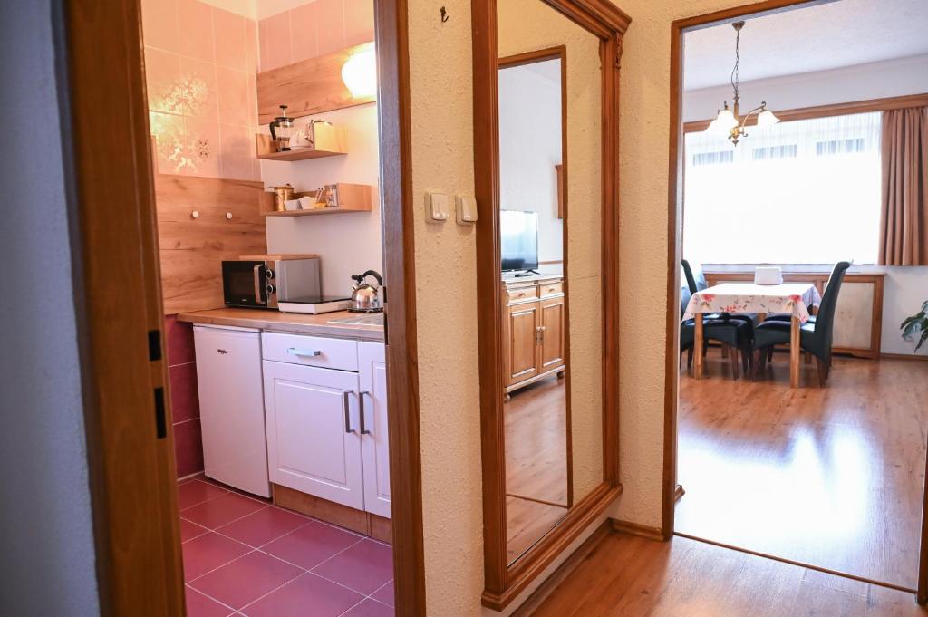 Kuchyň nebo kuchyňský kout v ubytování HOTEL DIANA apartments