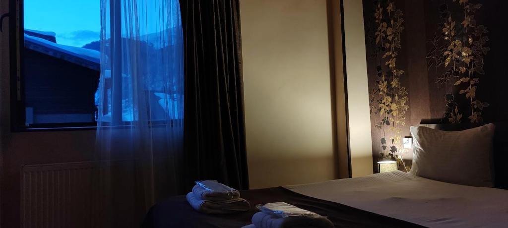Postel nebo postele na pokoji v ubytování Hotel Svanseti