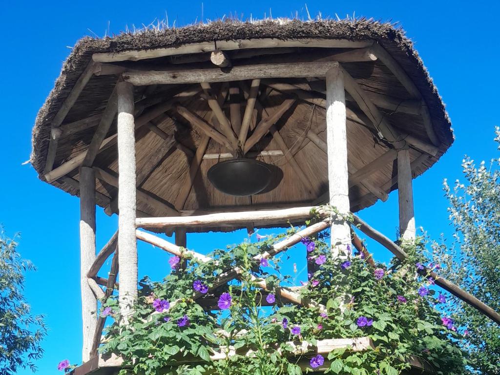 Gallery image of Los furgones de Areco in San Antonio de Areco