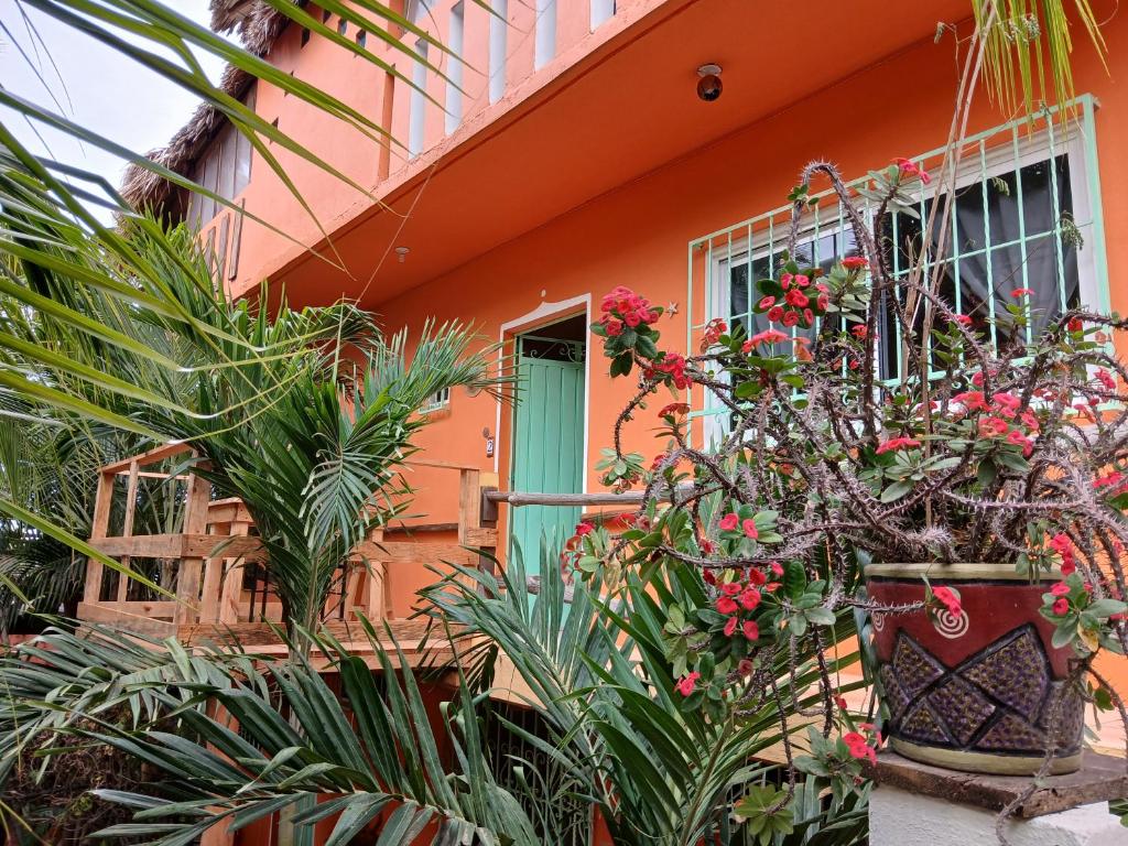 Zahrada ubytování Casa Gio