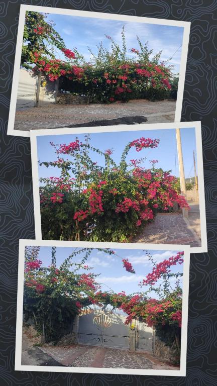 Fotografie z fotogalerie ubytování La Perla di Buffari Appartamento Ciappina v destinaci Palmi
