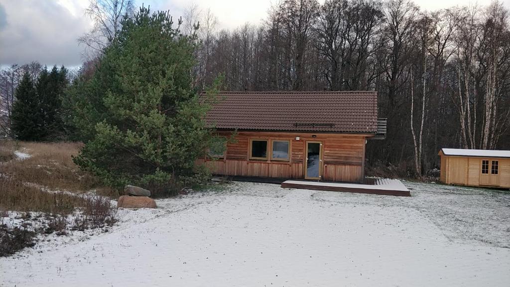 Vergi puhkemajad v zimě