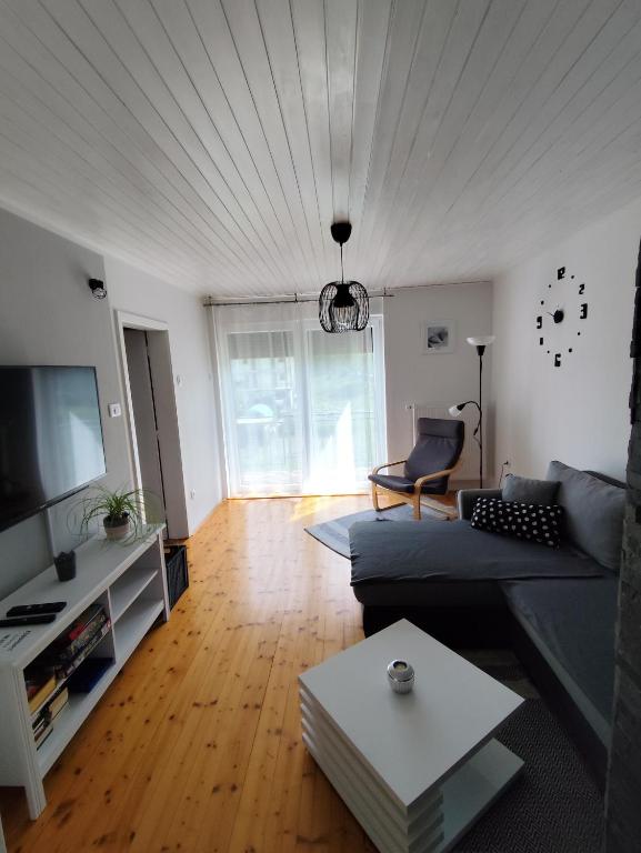 TV a/nebo společenská místnost v ubytování Apartments Justin
