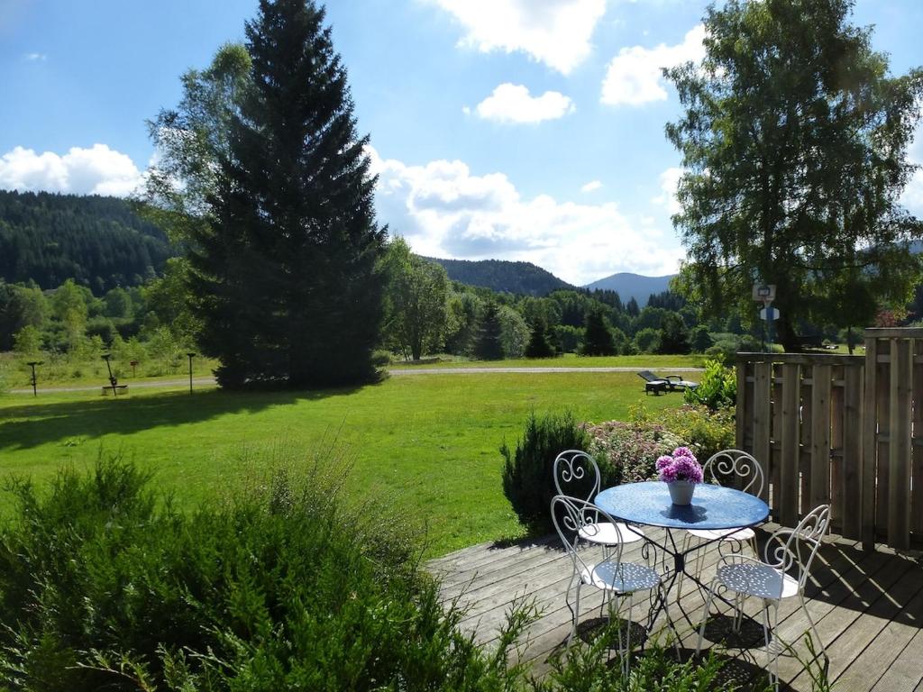 une terrasse avec une table, des chaises et un champ dans l'établissement D2 Beautiful studio of 1 à 4 pers face valley 3 stars WiFi, à Le Tholy
