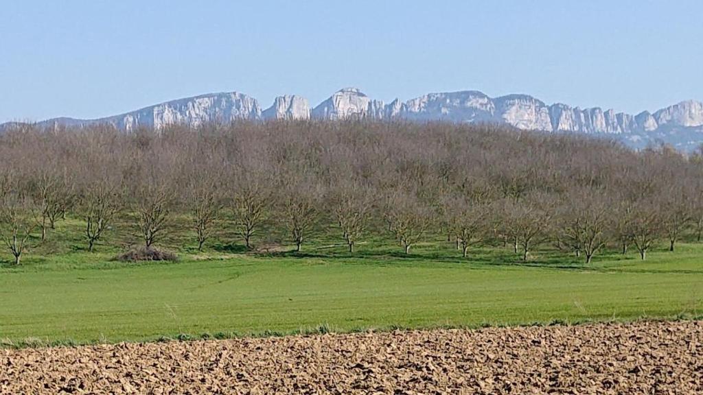 a field with trees and mountains in the background at Au contact de la nature in Chatuzange-le-Goubet